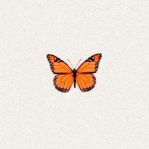 Meet your Posher, Ada - Picture 1 of 1